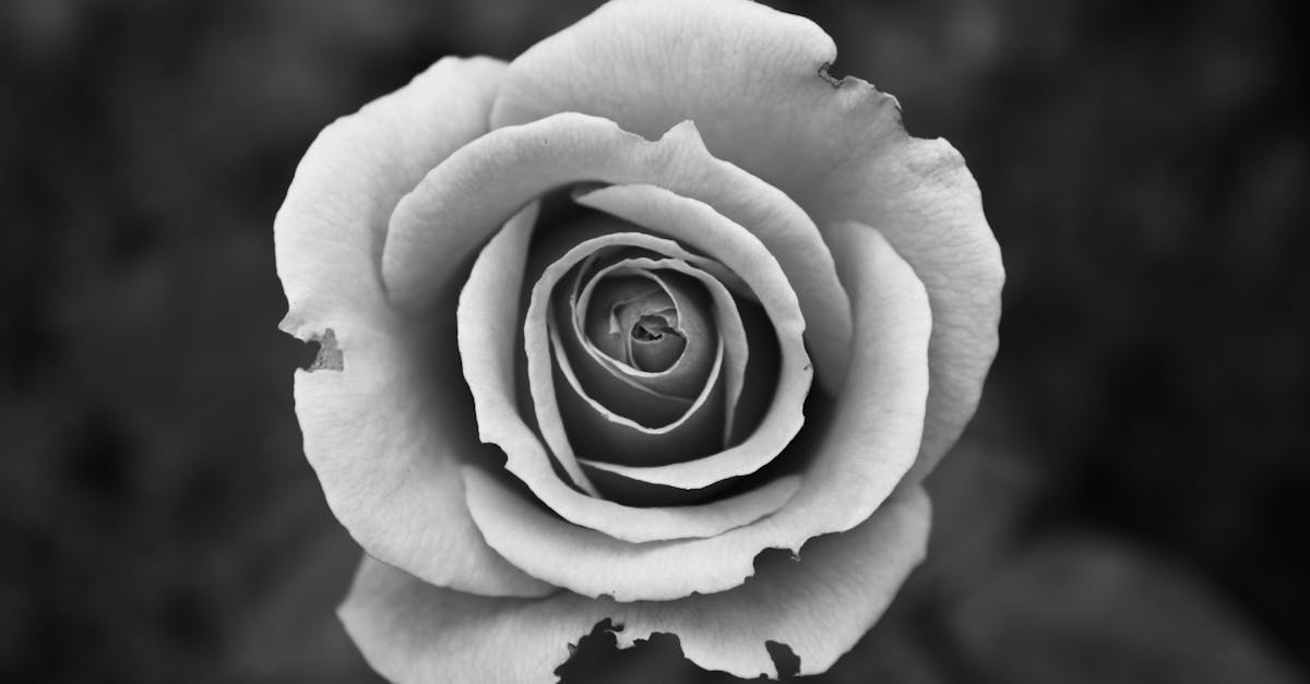 Epätäydellisyys - Ihmisen kosketus voittaa täydellisyyden: Opas epätäydellisen työn arvostamiseen