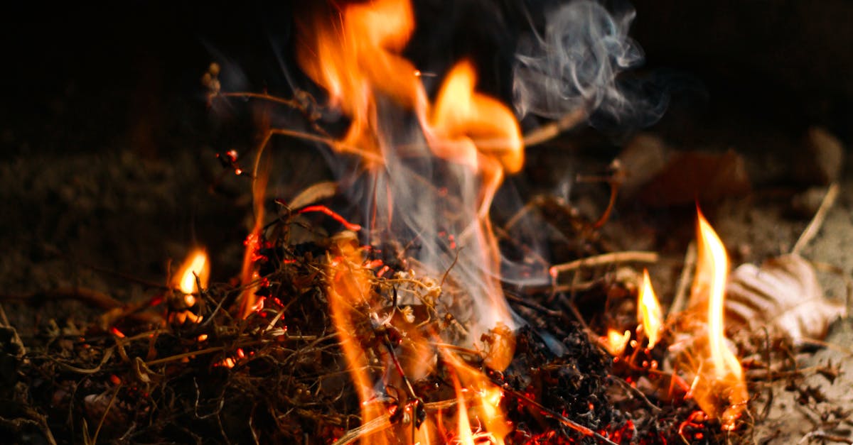 Ääniohjaus - Amazon Fire TV AI: Miten Tekoäly Uudistaa Kotisi Viihdekokemuksen