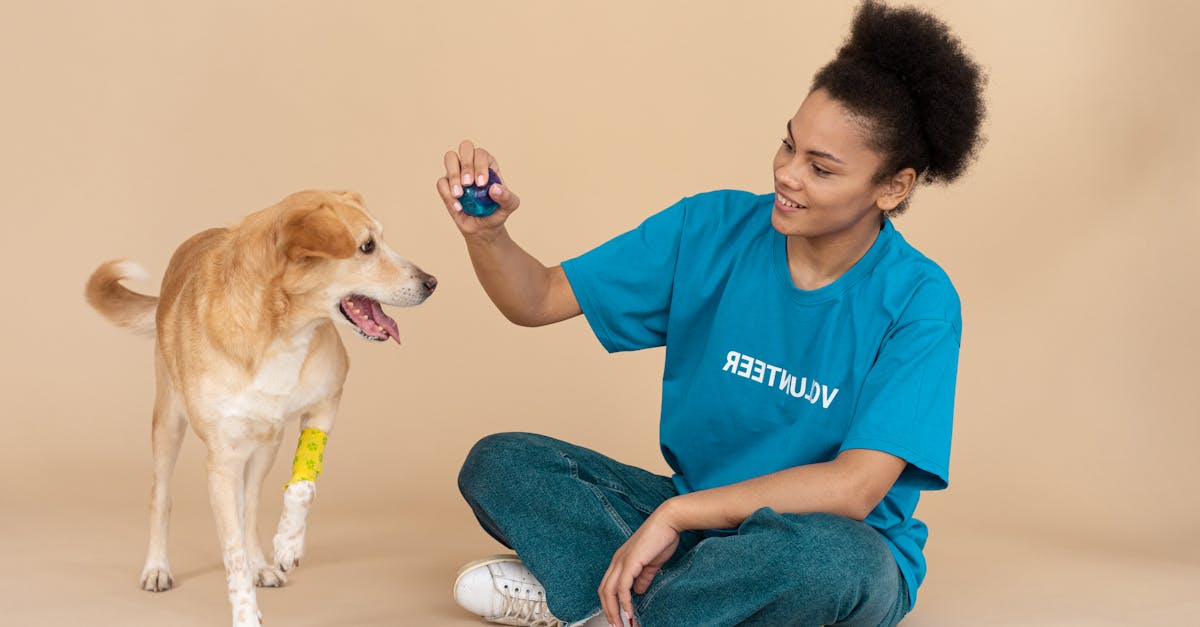 Lastenpsykoterapia - Kaikki Mitä Sinun Tulee Tietää Lasten Neuvolasta – Opas Vanhemmille