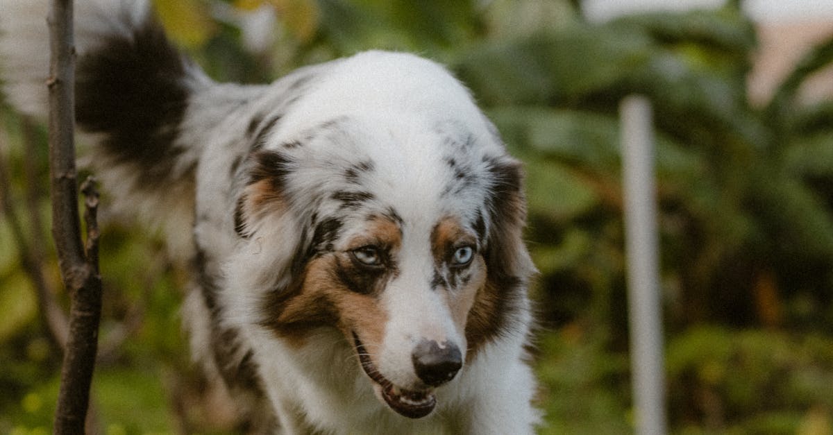 Mielenrauha - Kuinka Menettää Kontrolli ja Löytää Rauha – Matka Epävarmuudesta Voimaantumiseen