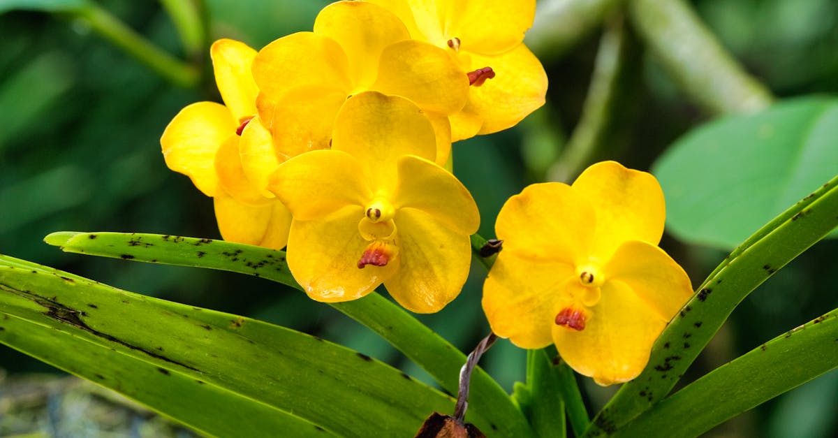 Lahjaostokset - Miehelle, Jolla On Jo Kaikkea: Opas Ainutlaatuisen Lahjan Valintaan