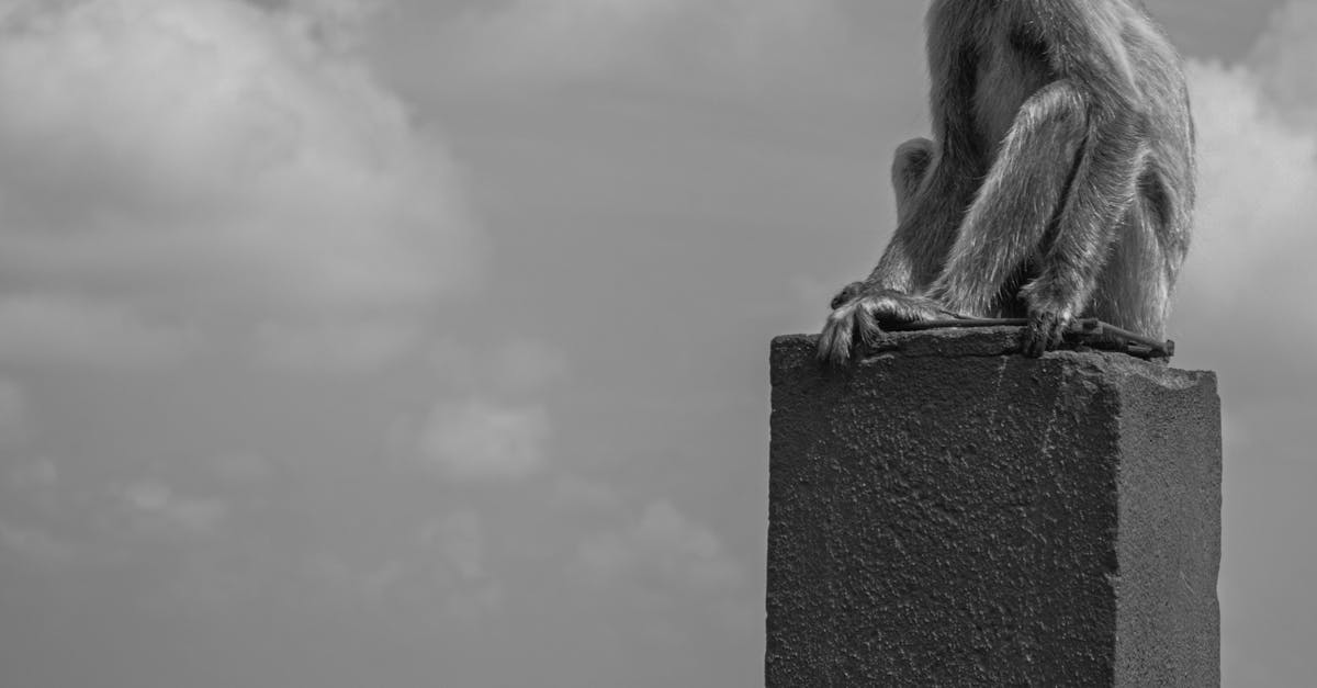 Energiansuojelu - Energian suojeleminen: Avain täyttä elämää ja hyvinvointia kohti