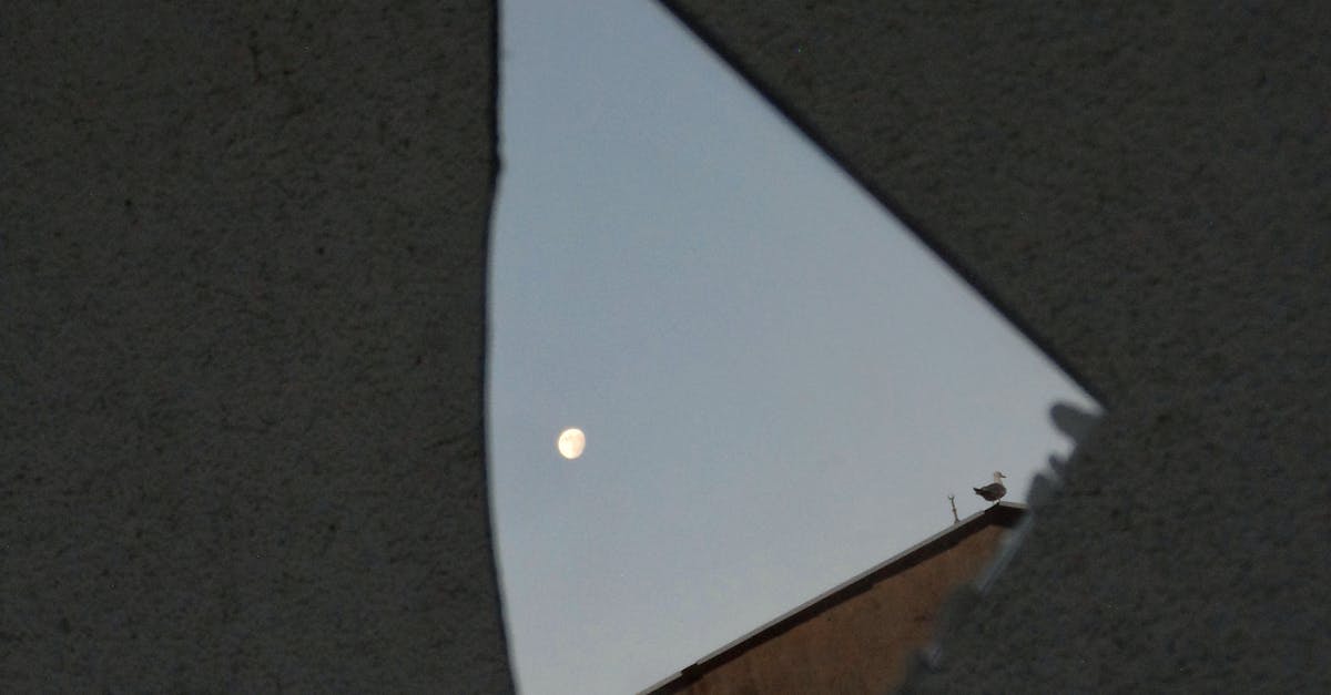 Trauma - Löydä Tie Eheytymiseen: Kuinka Vanhat Traumat Muovaavat Meitä ja Miten Voimme Parantua