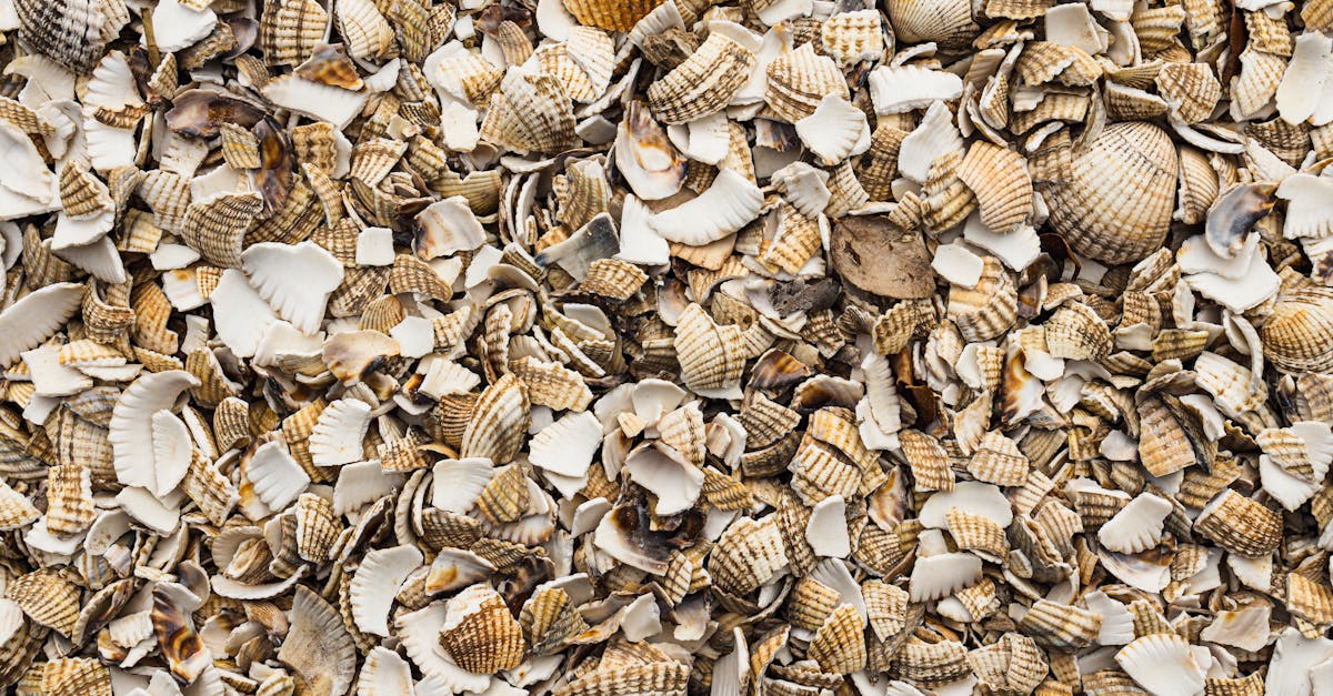 Vapautuminen - Kun Elämä Murtuu, Vapautus Alkaa – Polkusi Aidompaan Itseesi